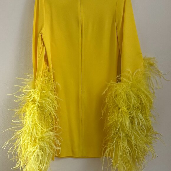Taller Mamo Canary Yellow Dress w/ Feather Sleeves - Picture 5 of 10